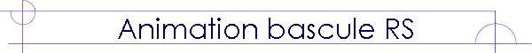 Animation bascule RS